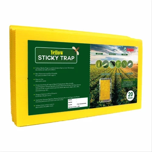 YELLOW STICKY TRAP