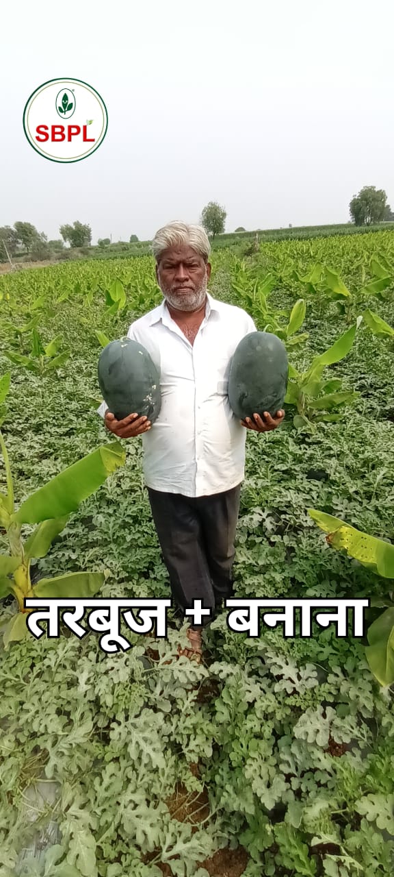 SAGAR KING GOLD