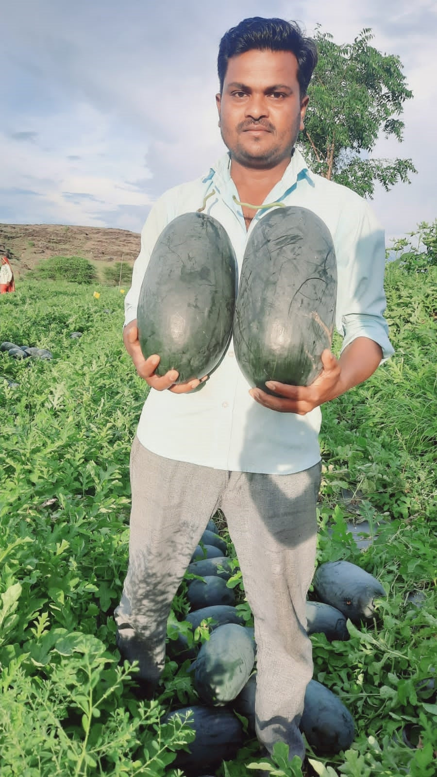 SAGAR KING