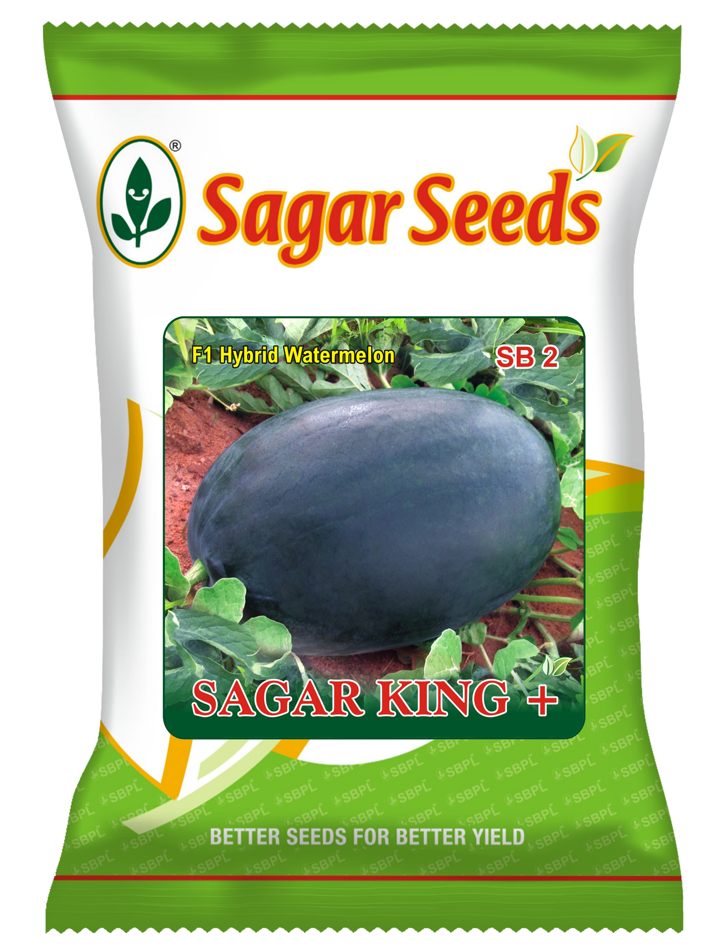 SAGARKING+