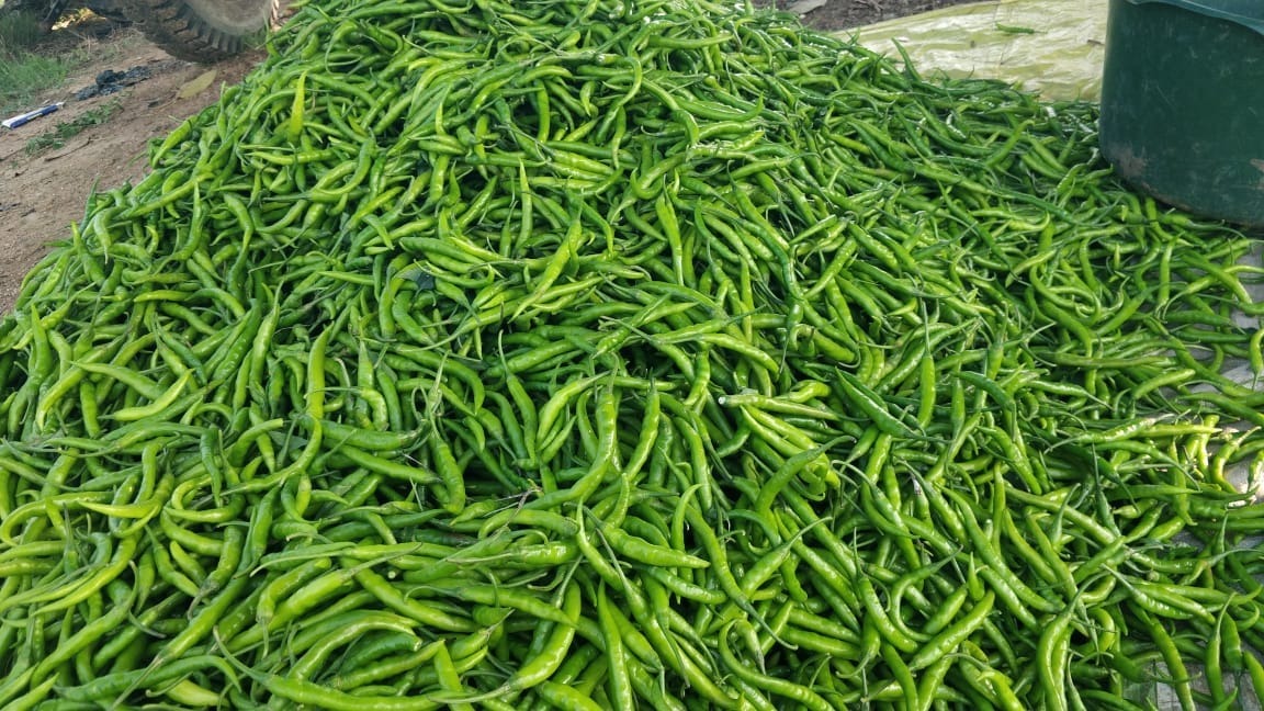 TAPI