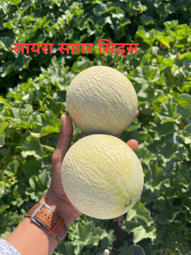 SHAYARA