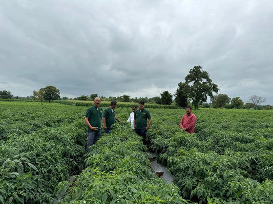WATERMELON, Vegetables