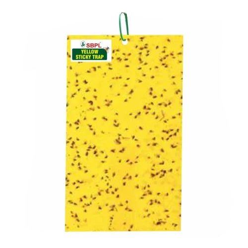 YELLOW STICKY TRAP