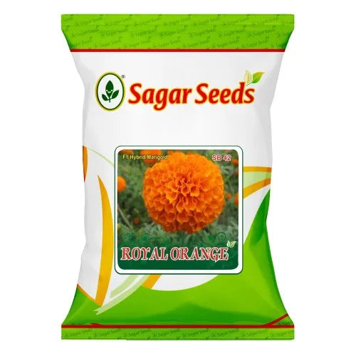 Royal Orange Flower Hybrid Marigold Seed