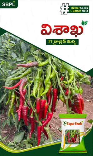 Visakha Chilli