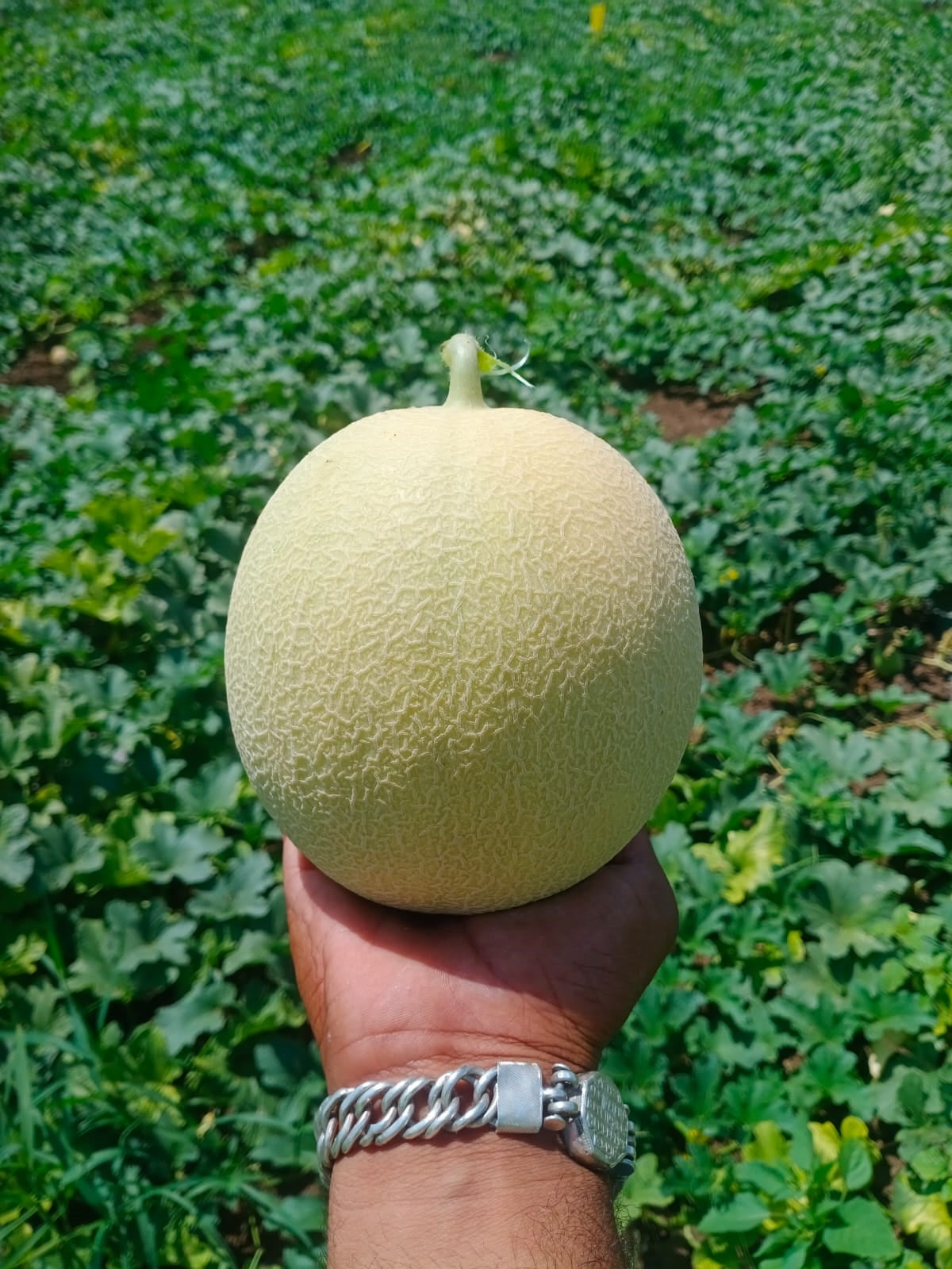 CHANDAN