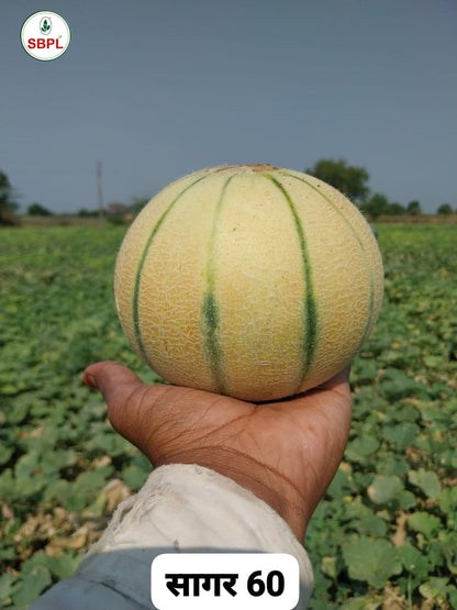 SAGAR-60