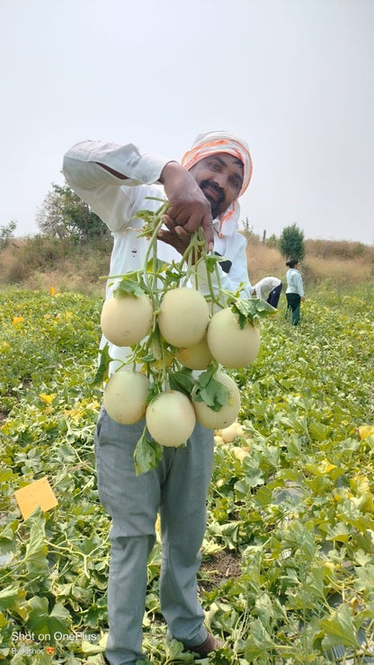 CHANDAN
