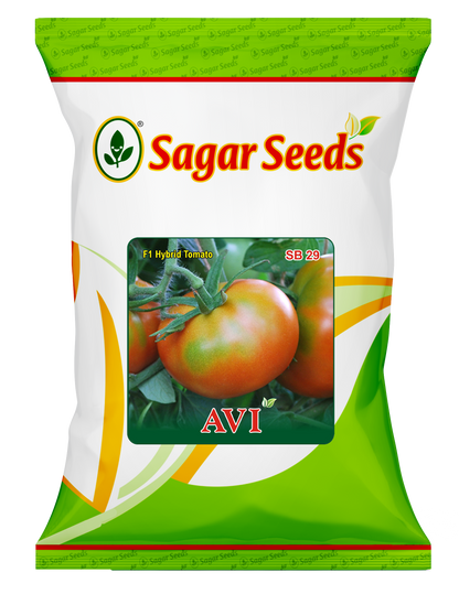AVI (GreenShoulder)