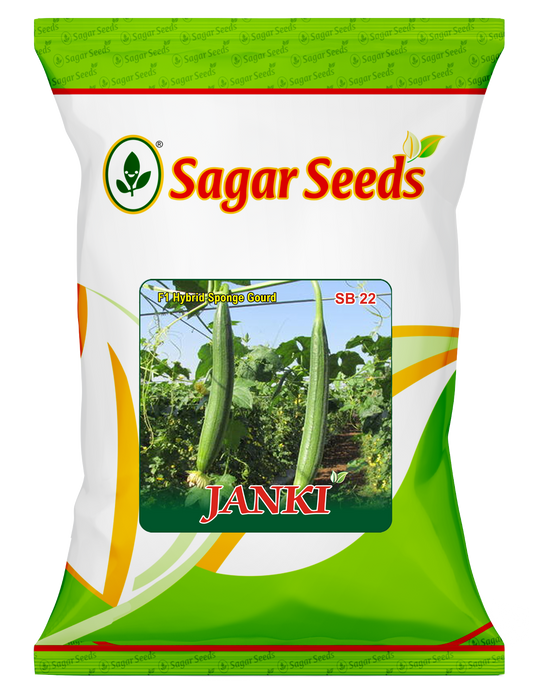 JANKI (DarkGreen)