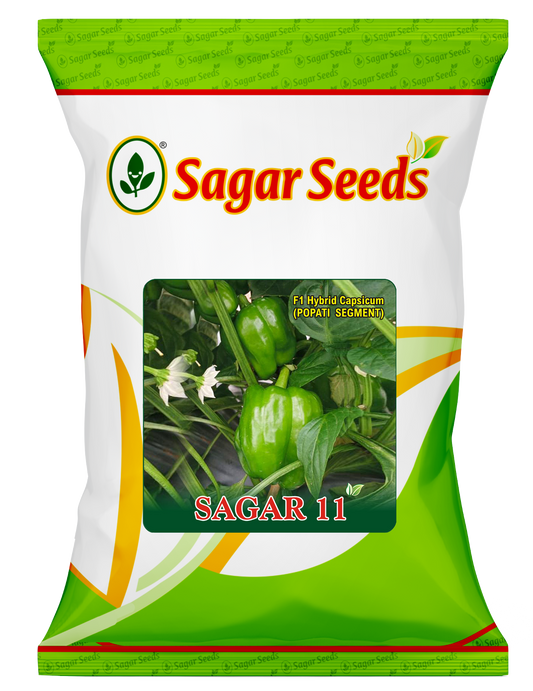 Sagar 11
