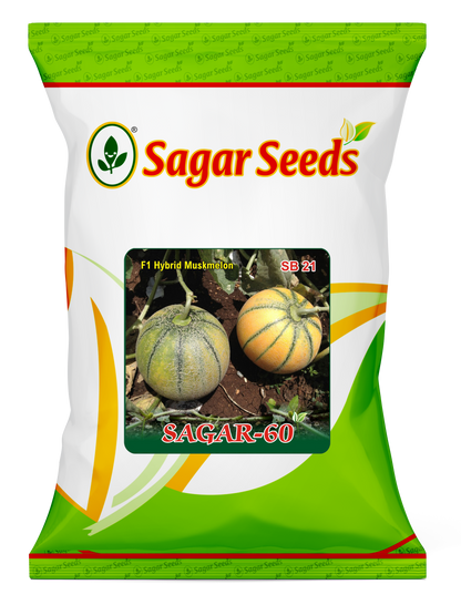 SAGAR-60