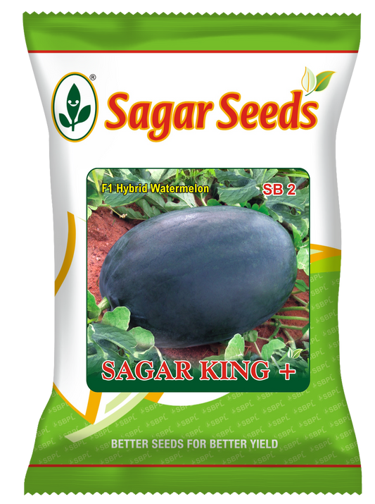 SAGARKING+