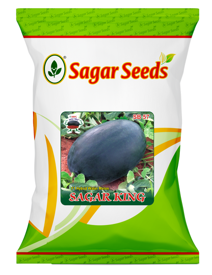 SAGAR KING