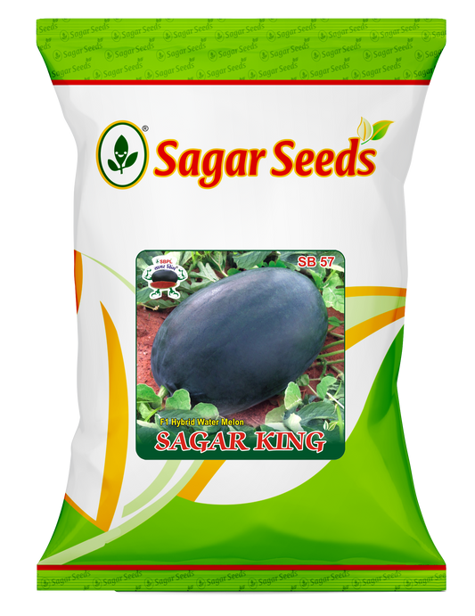 SAGAR KING