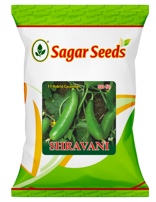 SHRAVANI (Green)