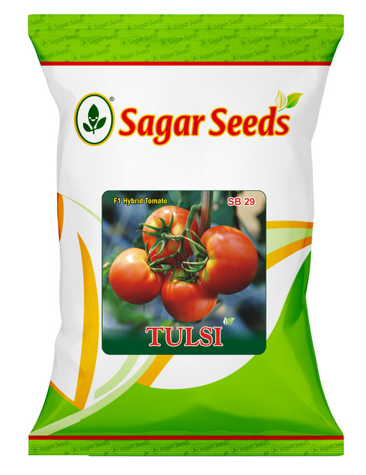 TULSI (Round)