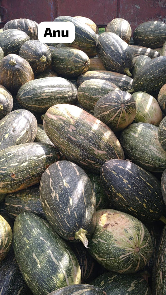 ANU (Oblong)