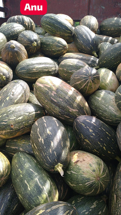 ANU (Oblong)