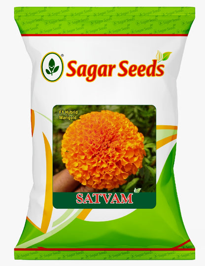 SATVAM