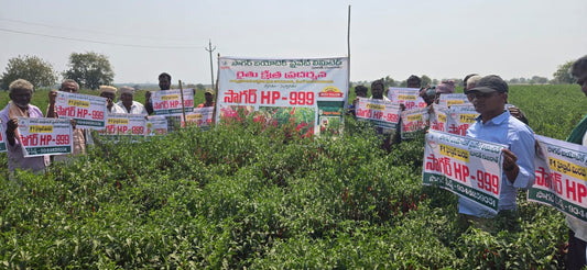 Sagar HP 999