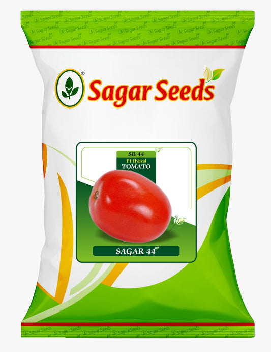 Sagar 44 Tomato