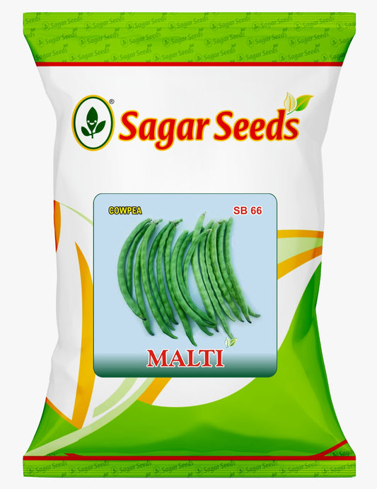 MALTI (Short Segment)