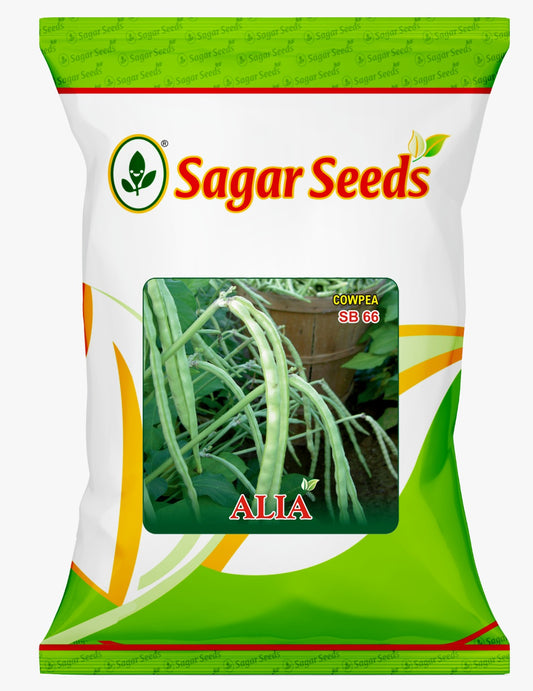ALIA (Long Segment)