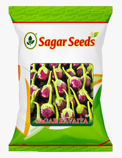 SAGAR RAVAIYA