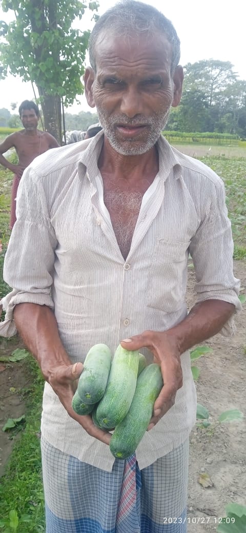 AVANI (Green)