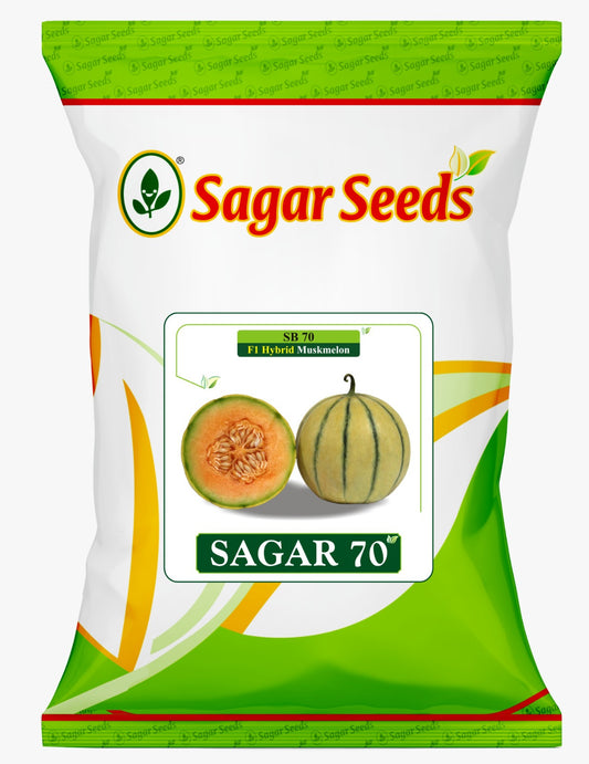 SAGAR-70