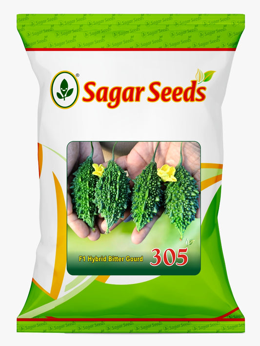 SAGAR 305