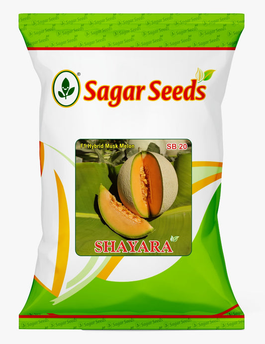 SHAYARA