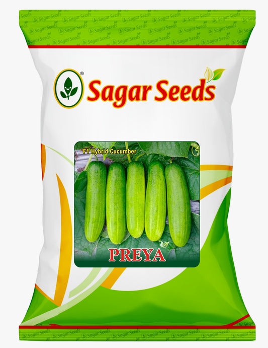 PREYA