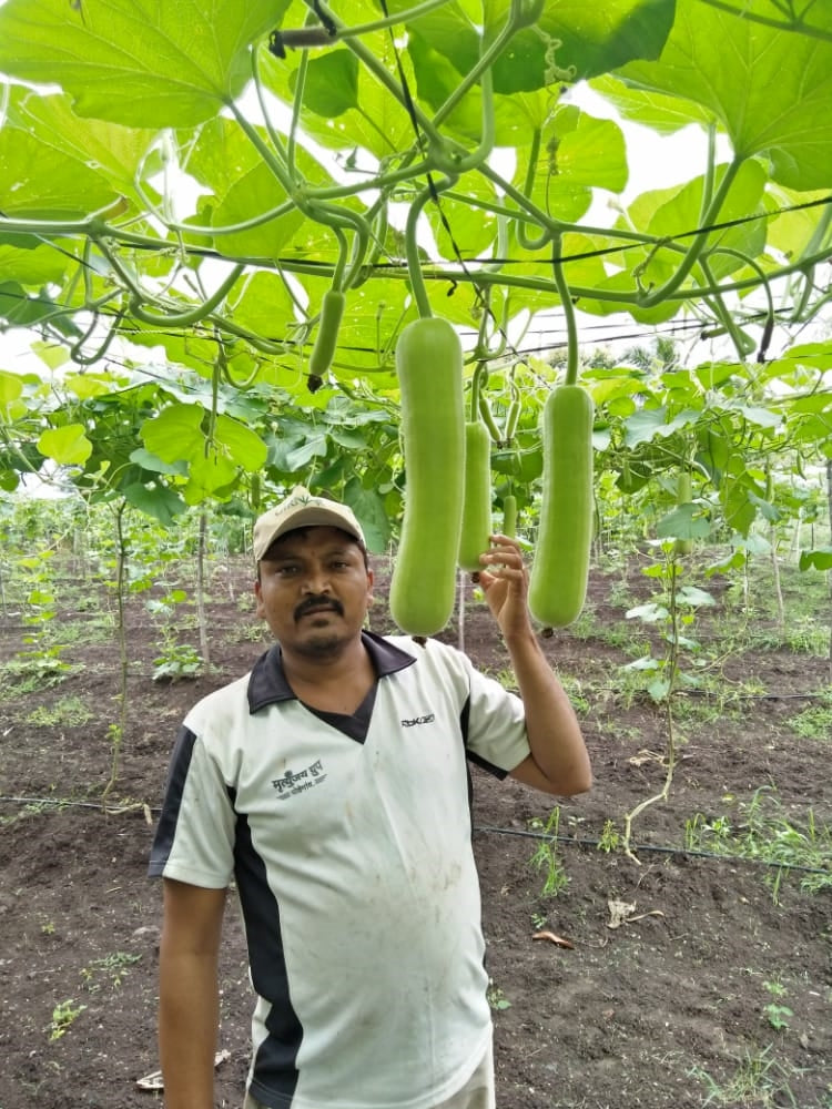 RASILI