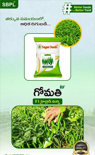 GOMATI