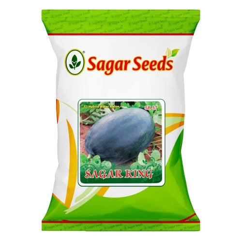 Sagar King Watermelon Seeds