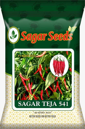 SAGAR TEJA 541 CHILLI