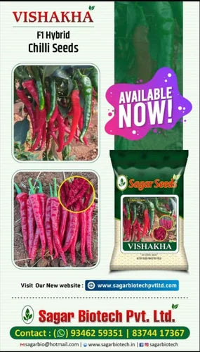 Visakha Chilli