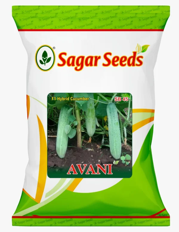 AVANI (GREEN)