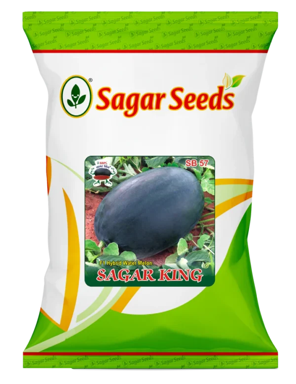 SAGAR KING