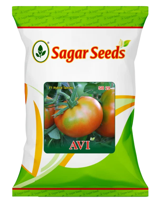 AVI (GROUND SHOULDER)