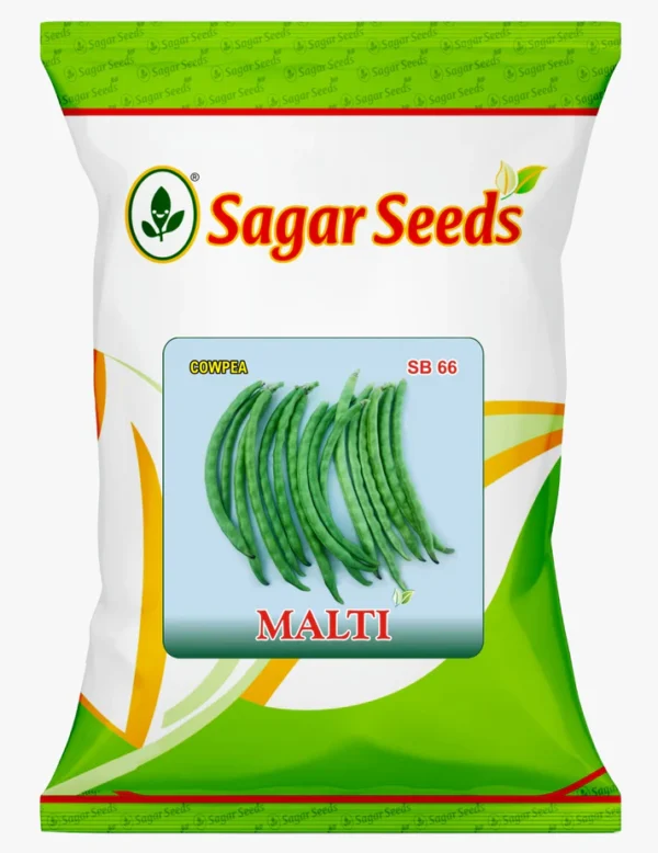MALTI (SHORT SEGMENT)